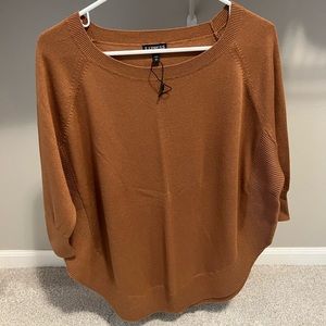 Express brown sweater